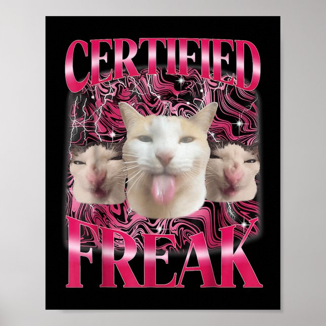 Auktoriserad Freak Cement Cursed Cat Funny Cat Me Poster (Framsidan)
