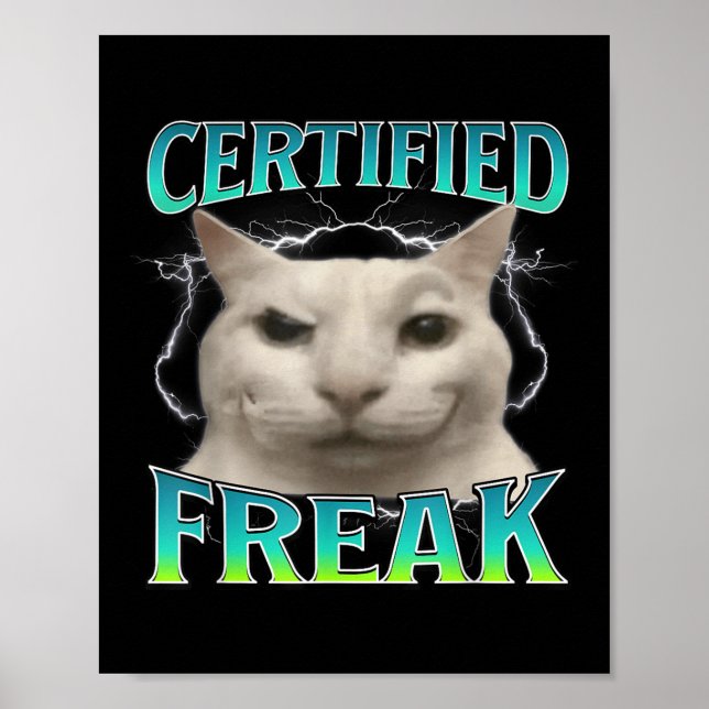 Auktoriserad Freak Funny Kat Meme Curted Fånig Sta Poster (Framsidan)