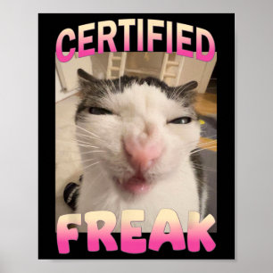 Auktoriserad Freak Kat Memors offensiva memes Funn Poster