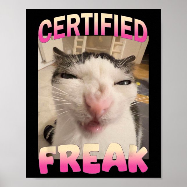 Auktoriserad Freak Kat Memors offensiva memes Funn Poster (Framsidan)