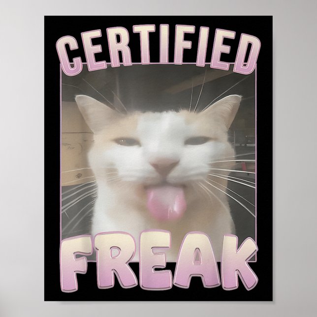 Auktoriserad Freak Kat Memors offensiva memes Funn Poster (Framsidan)