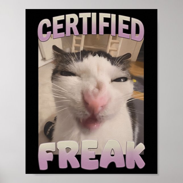 Auktoriserad Freak Kattmedlemsmedlems offensiva me Poster (Framsidan)