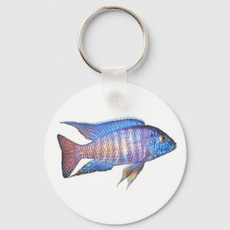 Aulonocara spp. nyckelring