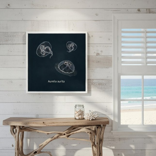 Aurelia aurita Educational Poster (Skapare uppladdad)