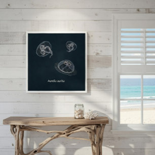 Aurelia aurita Utbildningsaffisch Poster