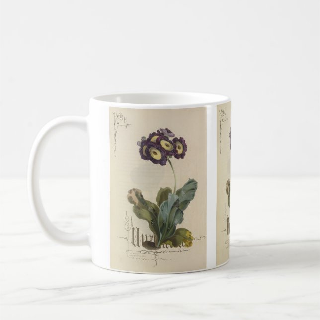 Auricula av Paul Jerrard Kaffemugg (Vänster)