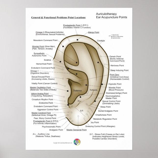 Auriculotherapy Ear Acupuncture Poster (Framsidan)