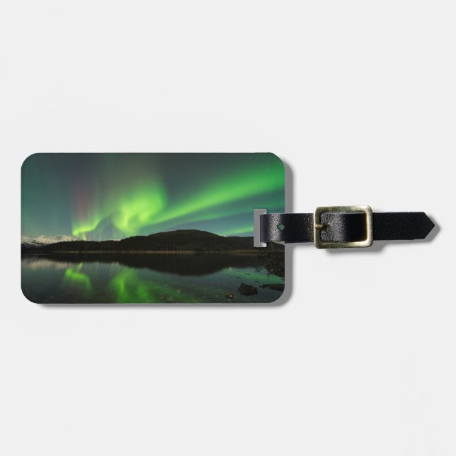 Aurora av kurvor bagagebricka (Horisontell Framsida)