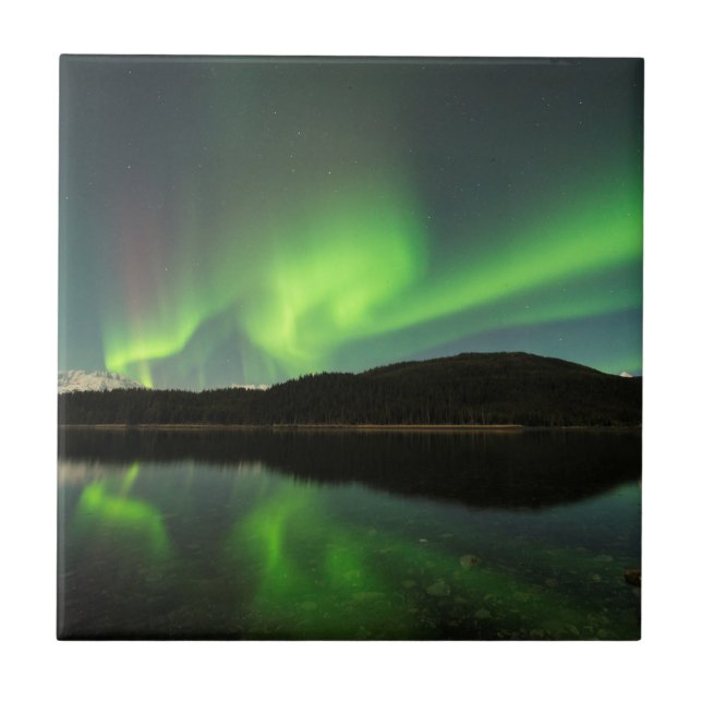 Aurora av kurvor kakelplatta (Framsidan)