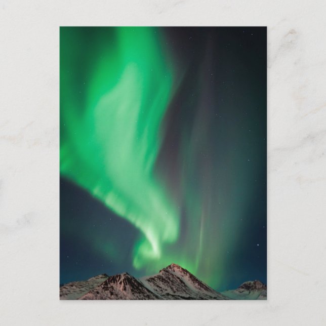 Aurora Borealis | Anchorage, Alaska Vykort (Framsida)
