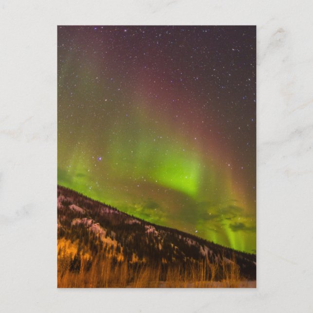 Aurora Borealis | Berg Fairbanks Alaska Vykort (Framsida)