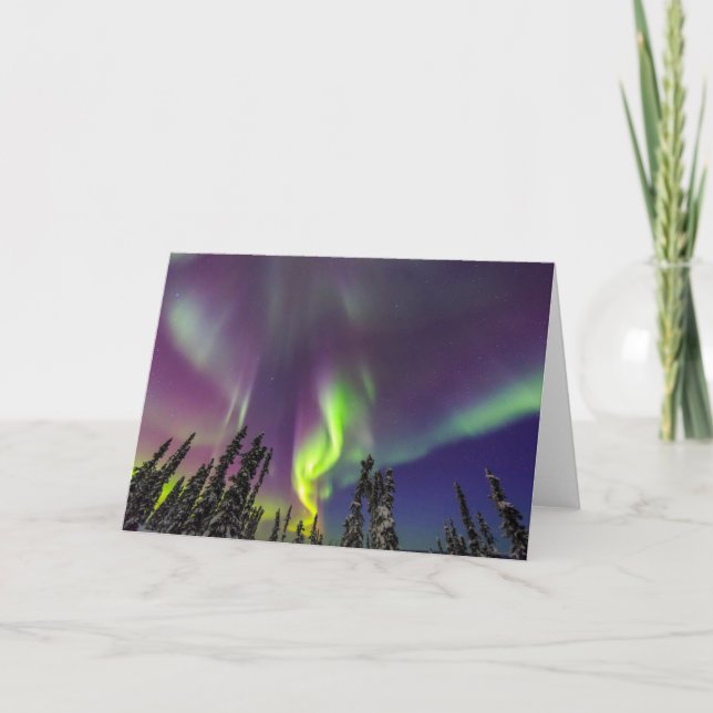Aurora Borealis | Fairbanks, Alaska Kort (Framsida)