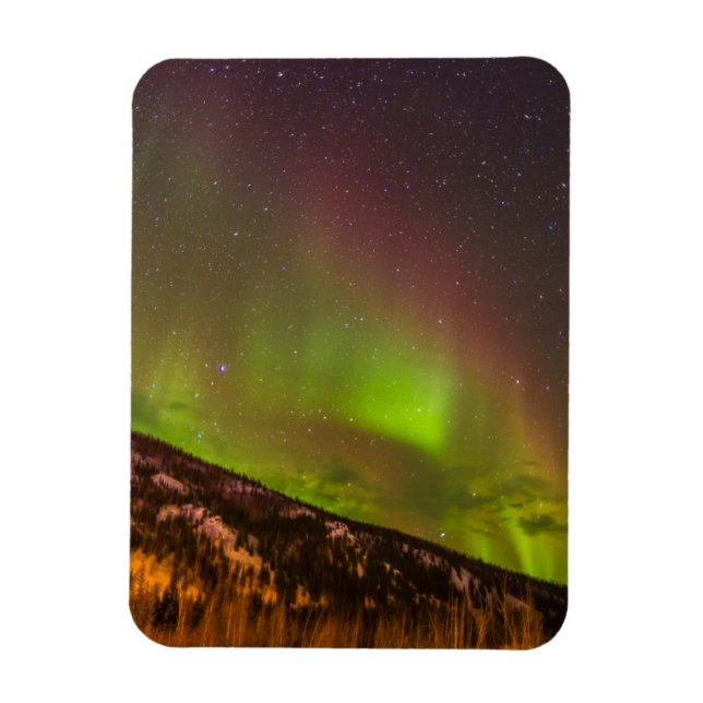 Aurora Borealis | Fairbanks Alaska Magnet (Vertikal)