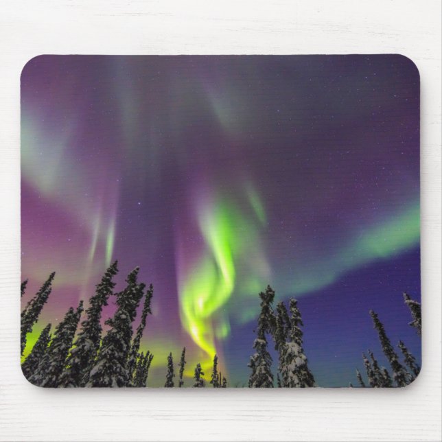 Aurora Borealis | Fairbanks, Alaska Musmatta (Framsidan)