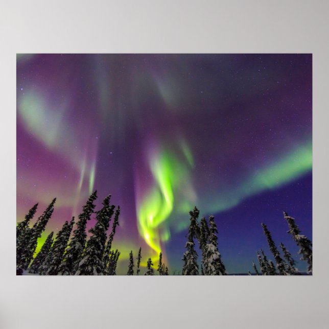 Aurora Borealis | Fairbanks, Alaska Poster (Framsidan)