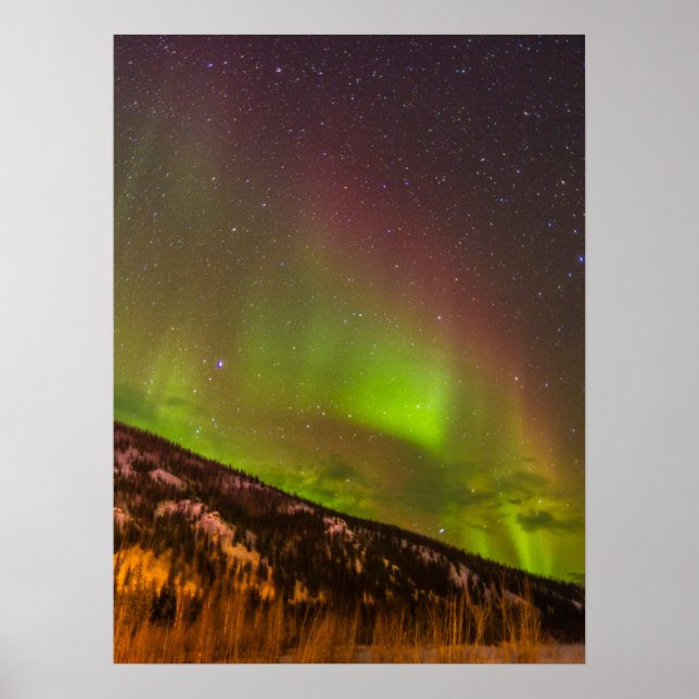 Aurora Borealis | Fairbanks Alaska Poster (Framsidan)