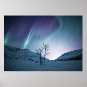 Aurora Borealis Natt Poster