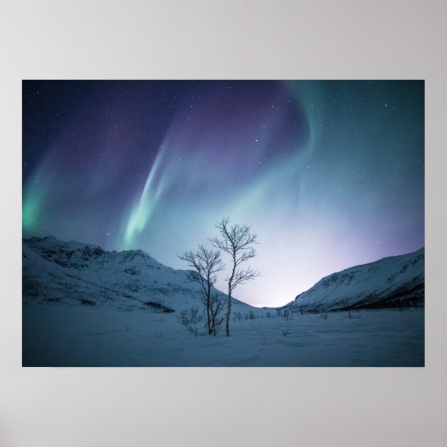 Aurora Borealis Natt Poster (Framsidan)