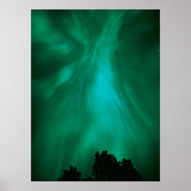 Aurora Borealis Nattid | Ontario, Kanada Poster (Framsidan)