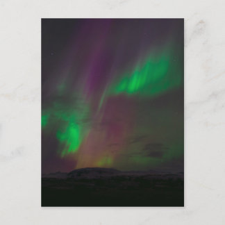Aurora Borealis Nature Lands Northern Ljus Träd Vykort