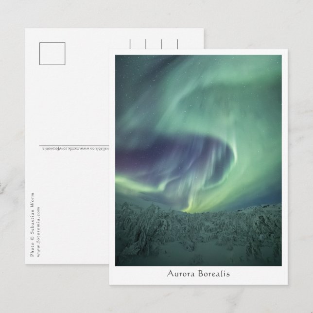 Aurora Borealis Norge Vykort (Fram/baksida)
