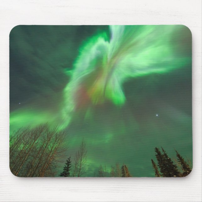 Aurora Borealis norra Ljus | Fairbanks Musmatta (Framsidan)