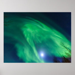 Aurora Borealis norra Ljus   Fairbanks Poster