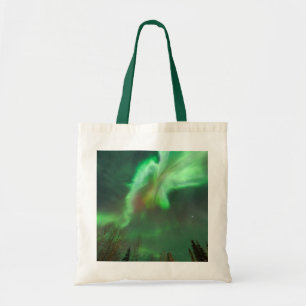Aurora Borealis norra Ljus Fairbanks Tygkasse