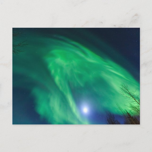 Aurora Borealis norra Ljus | Fairbanks Vykort (Framsida)