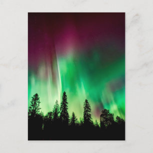 Aurora borealis norra ljus vykort