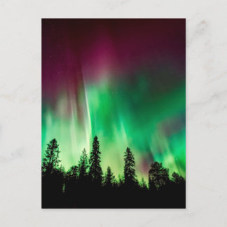 Aurora borealis norra ljus vykort