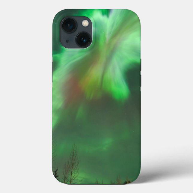 Aurora Borealis Norrsken | Fairbanks (Baksida)