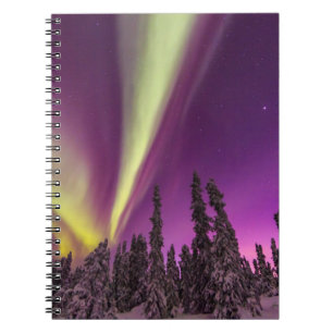 Aurora Borealis Norrsken Fairbanks Alaska Anteckningsbok