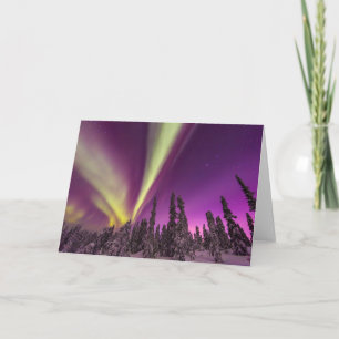 Aurora Borealis Norrsken Fairbanks Alaska Kort