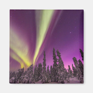 Aurora Borealis Norrsken Fairbanks Alaska Magnet