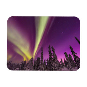 Aurora Borealis Norrsken Fairbanks Alaska Magnet
