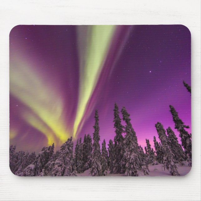 Aurora Borealis Norrsken Fairbanks Alaska Musmatta (Framsidan)