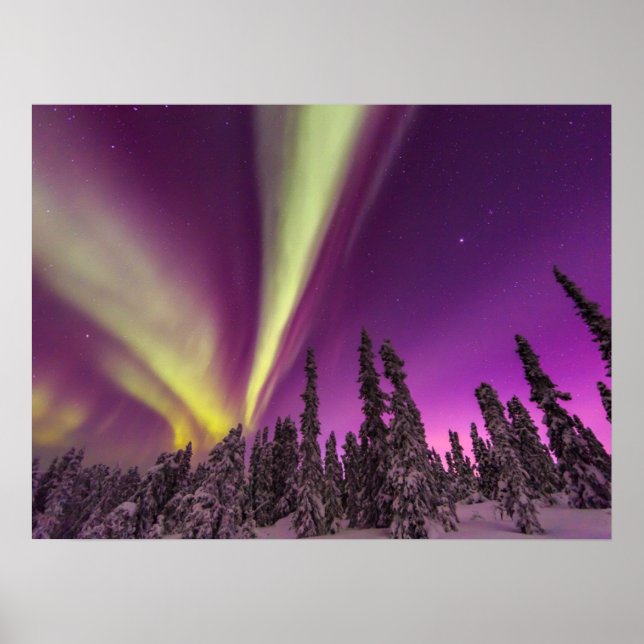 Aurora Borealis Norrsken Fairbanks Alaska Poster (Framsidan)