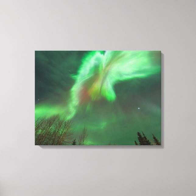 Aurora Borealis Norrsken | Fairbanks Canvastryck (Framsida)