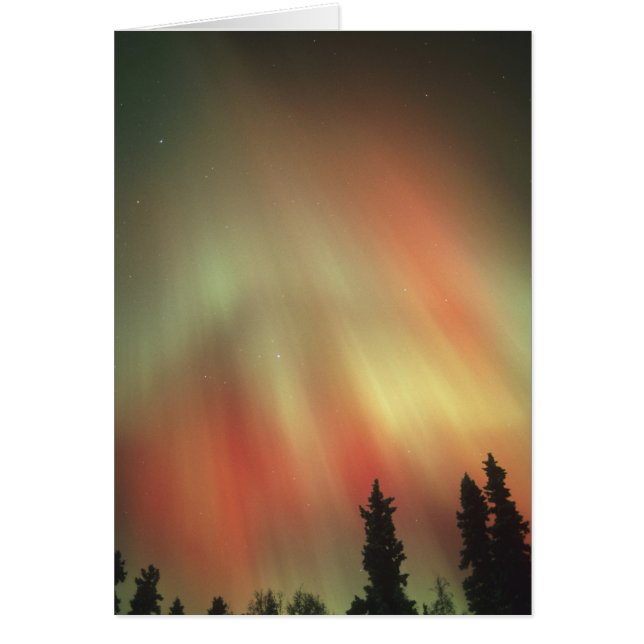 Aurora Borealis, Norrsken, Fairbanks Hälsningskort (Framsidan)