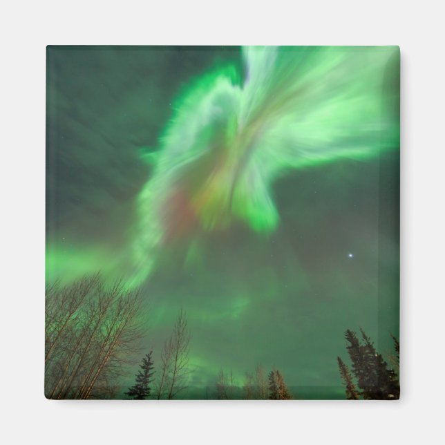 Aurora Borealis Norrsken | Fairbanks Magnet (Framsidan)