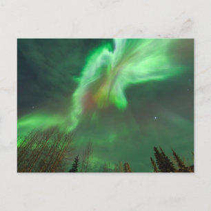 Aurora Borealis Norrsken Fairbanks Vykort