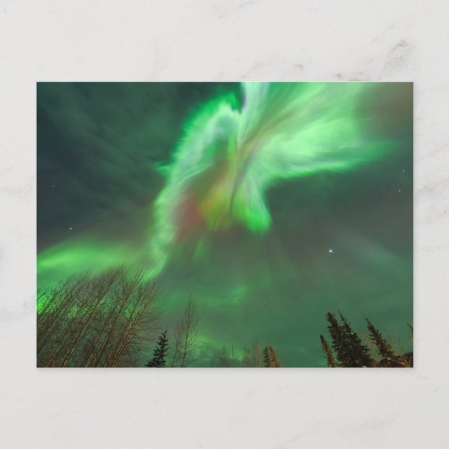 Aurora Borealis Norrsken | Fairbanks Vykort (Framsida)