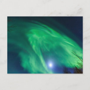 Aurora Borealis Norrsken Fairbanks Vykort