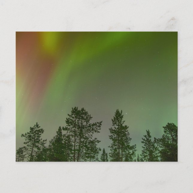 Aurora Borealis Norrsken Himlar Glöd Gnistra Flygblad (Framsidan)