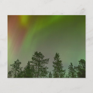 Aurora Borealis Norrsken Himlar Glöd Gnistra Flygblad