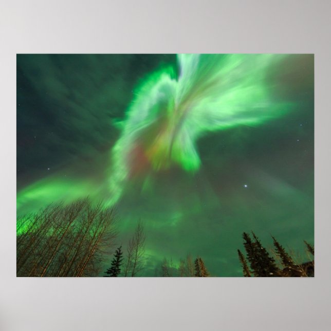 Aurora Borealis Northern Lights | Fairbanks Poster (Framsidan)