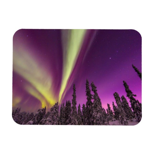 Aurora Borealis Northern Ljus Fairbanks Alaska Magnet (Horisontell)