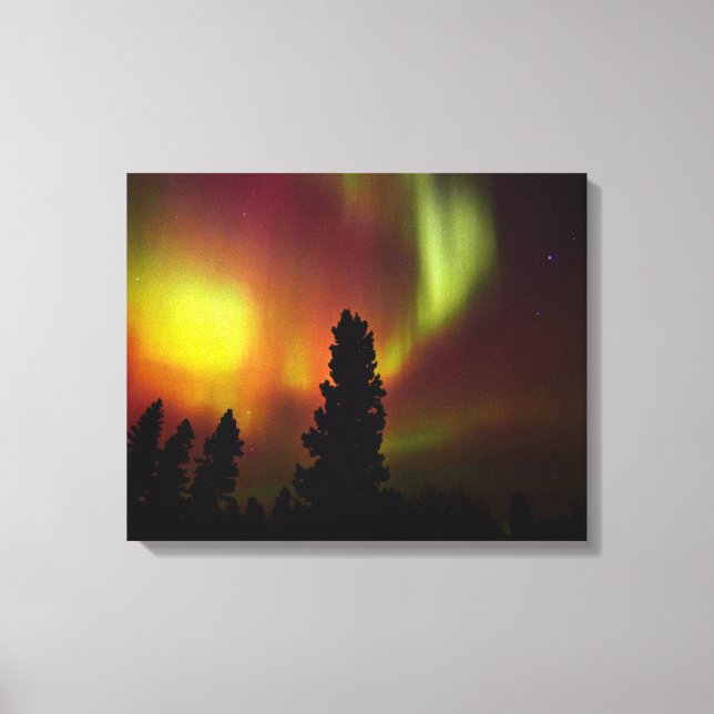 Aurora Borealis och träd Canvastryck (Framsida)