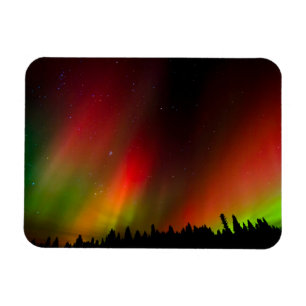Aurora Borealis och träd Magnet